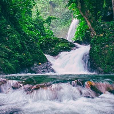 金币小游戏软件下载
