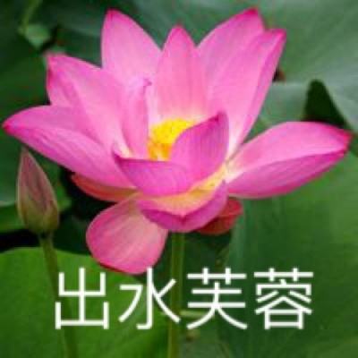封神纪游戏下载